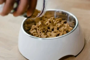 Pienso vegano para perros y gatos y snacks naturales para animales
